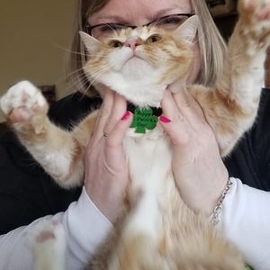 Meet your Posher, Megan